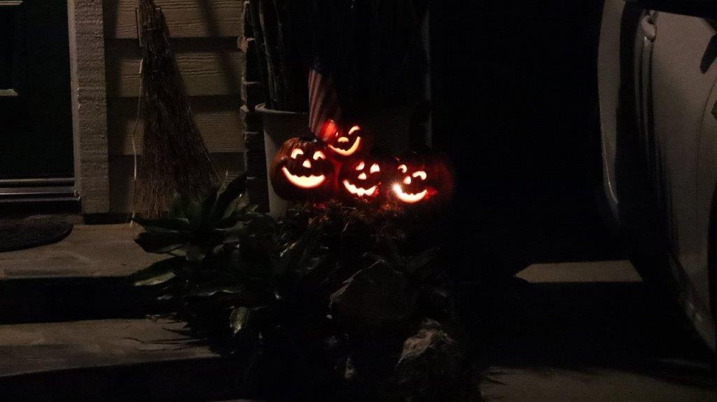 A group of carved pumpkins in the dark

Description automatically generated