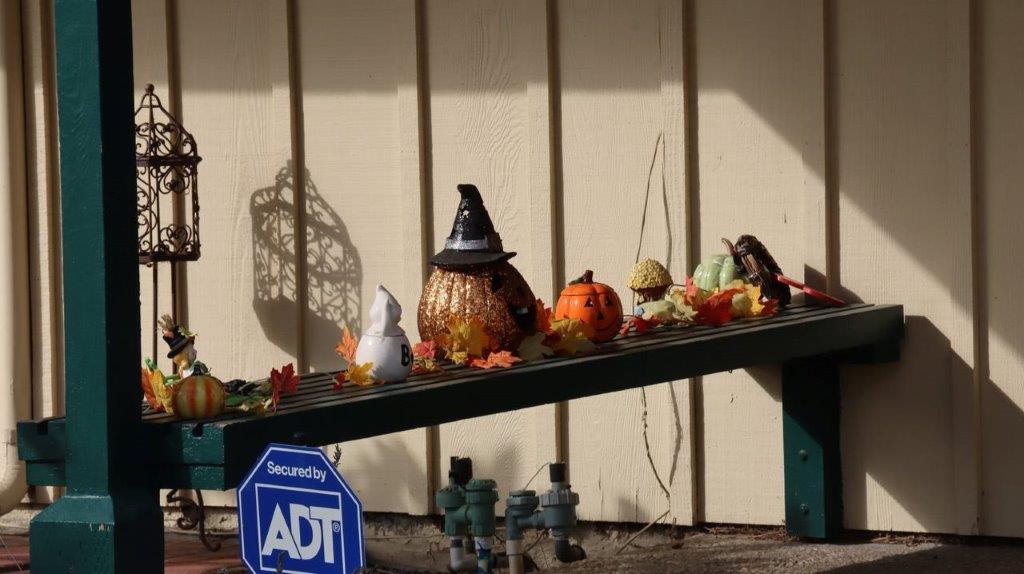 A group of halloween decorations on a bench

Description automatically generated