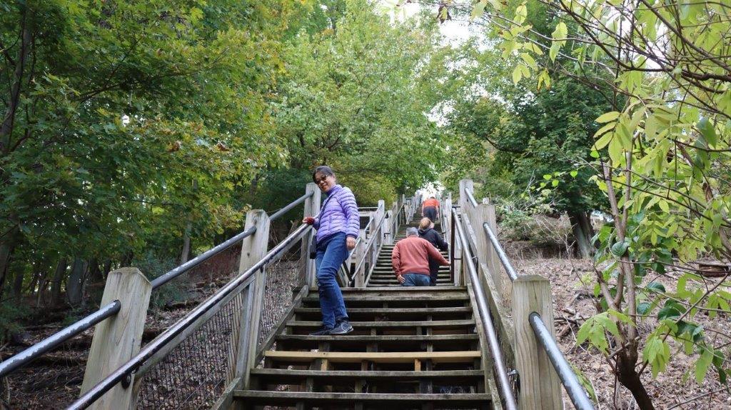 A group of people climbing stairs

Description automatically generated