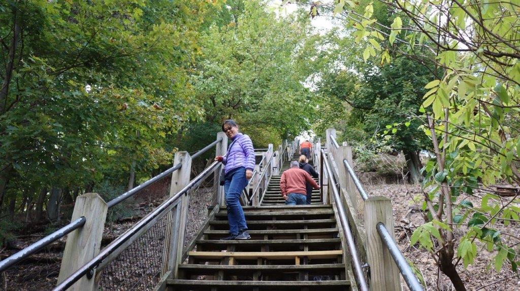 A group of people climbing stairs

Description automatically generated