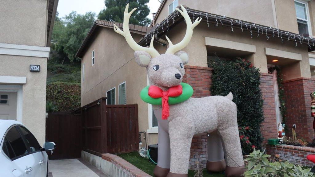 A large reindeer with a green and red bow

Description automatically generated