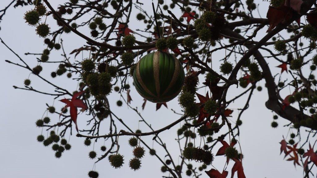 A tree with a green ball and red flowers

Description automatically generated