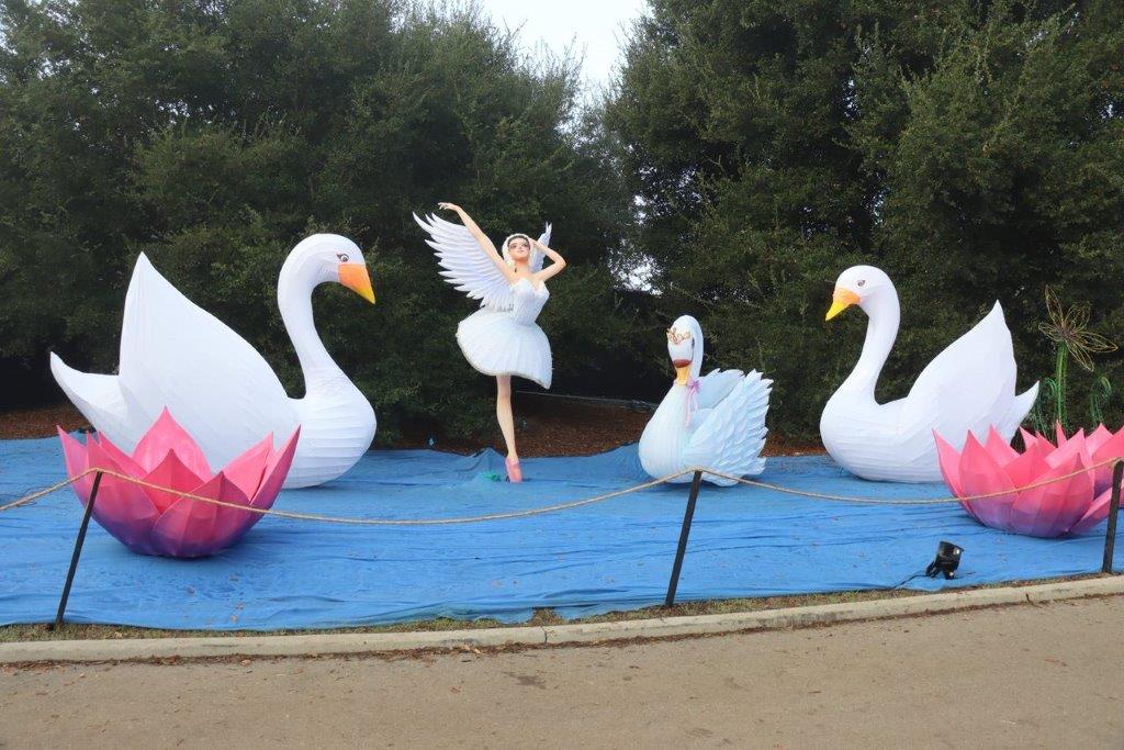 A group of white swans and a ballerina

Description automatically generated