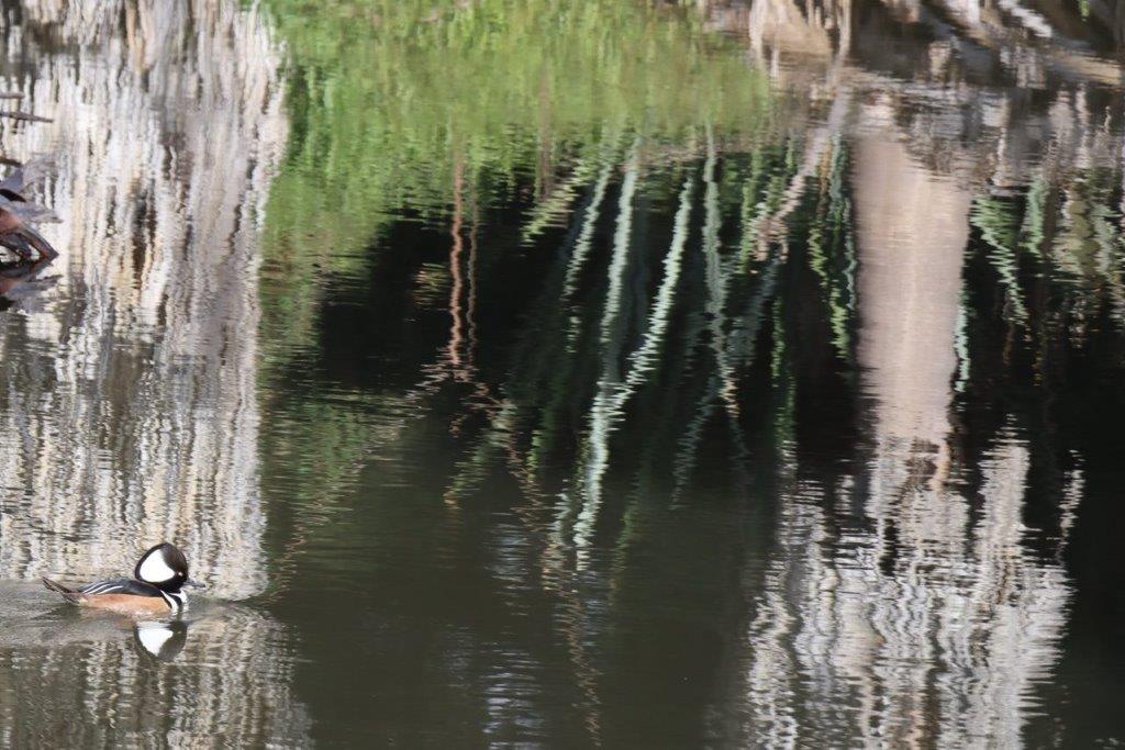 A close-up of a body of water

Description automatically generated
