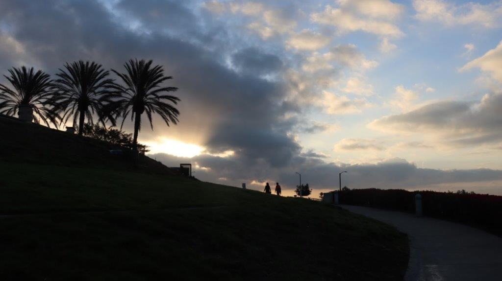 A sunset over a hill with palm trees

AI-generated content may be incorrect.