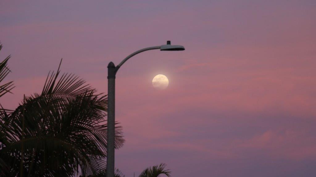 A street light and the moon

AI-generated content may be incorrect.