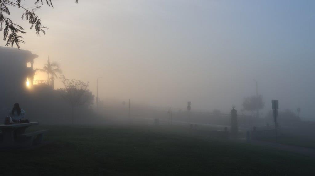 A foggy landscape with trees and a road

AI-generated content may be incorrect.