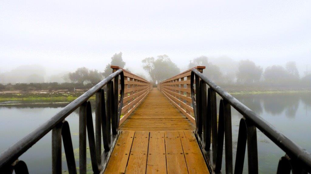 A bridge with a body of water and trees

Description automatically generated