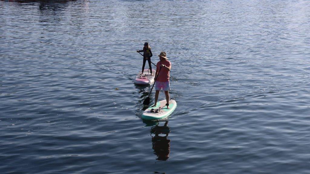 A couple of people on paddle boards

Description automatically generated