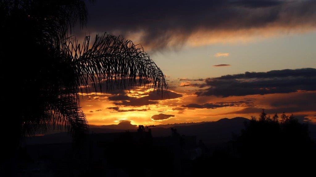 A sunset with clouds and a palm tree

Description automatically generated