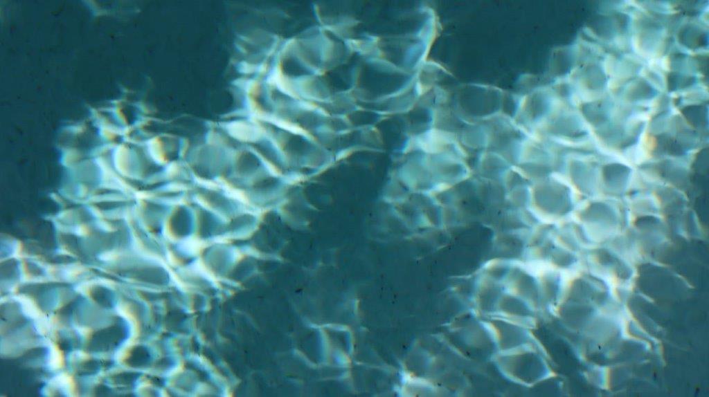 A close-up of water

Description automatically generated