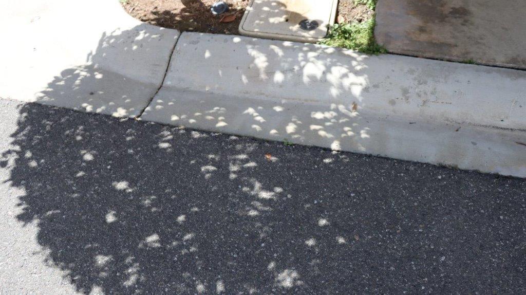 A sidewalk next to a tree

Description automatically generated