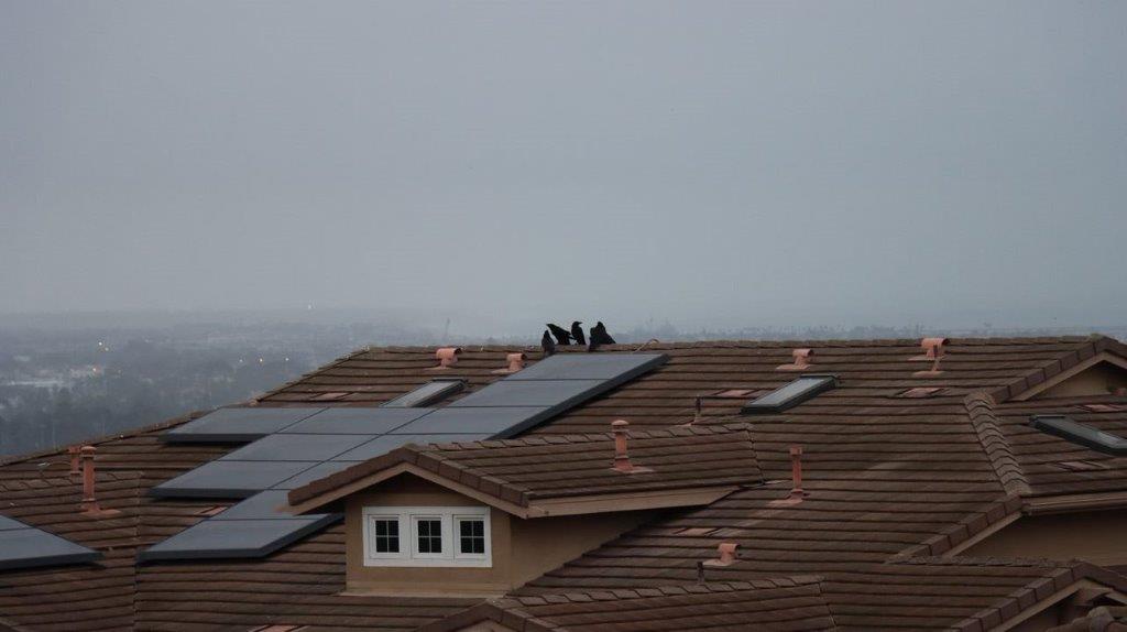 A group of people on a roof

Description automatically generated