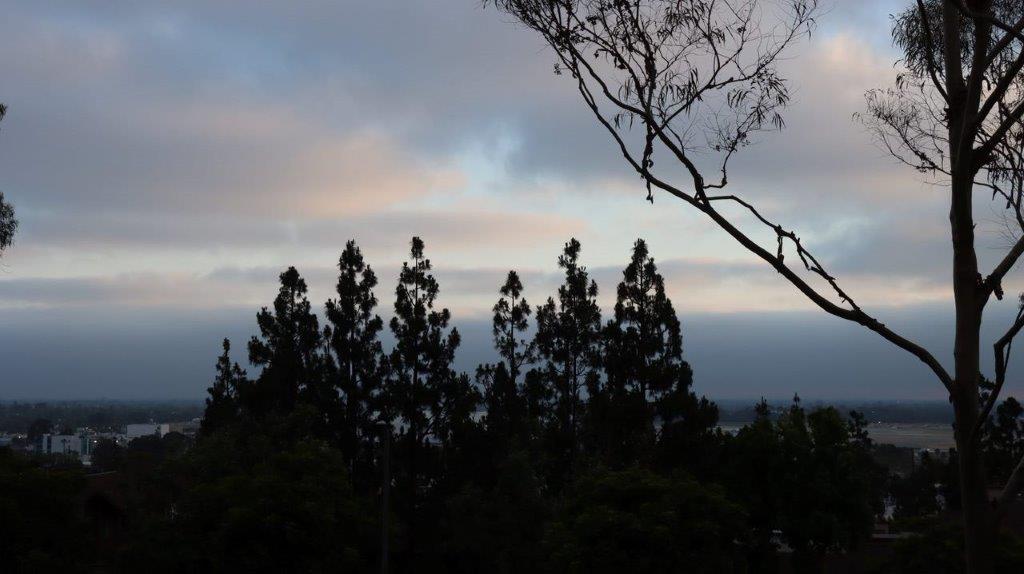 A group of trees in the distance

Description automatically generated