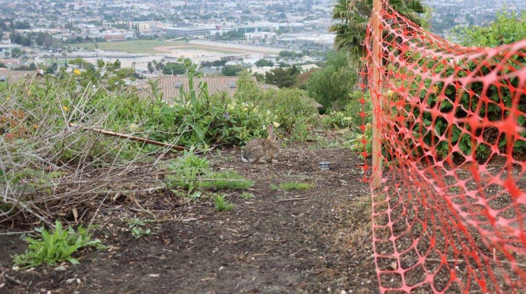 A close-up of a fence

Description automatically generated