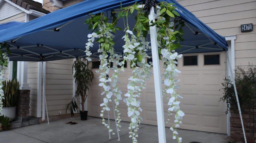 A white flowers from a blue canopy

Description automatically generated