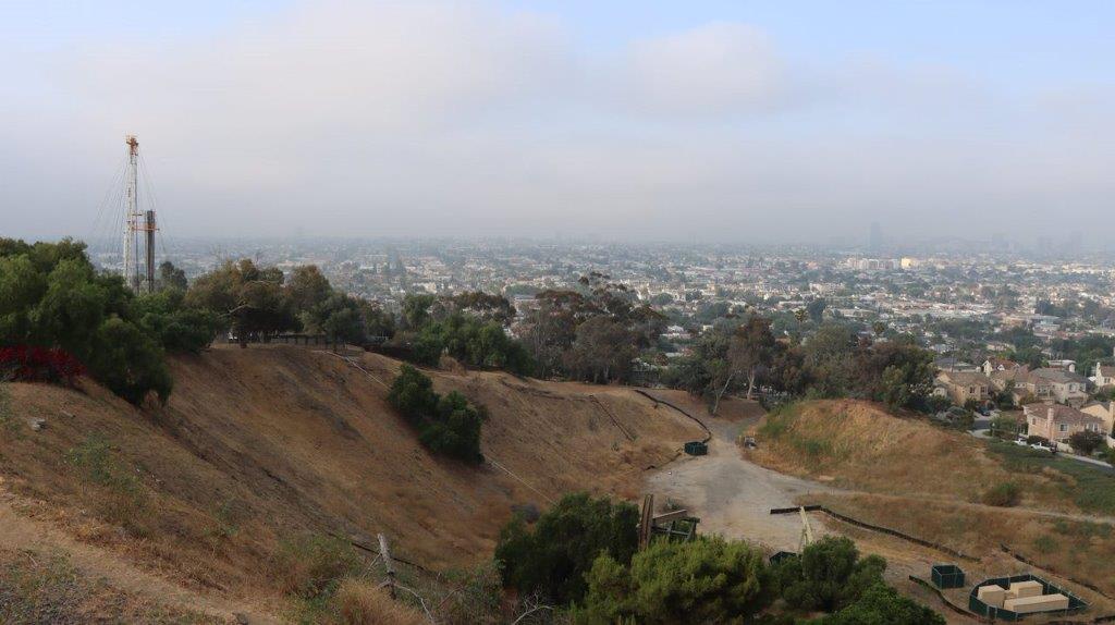 A view of a city from a hill

Description automatically generated