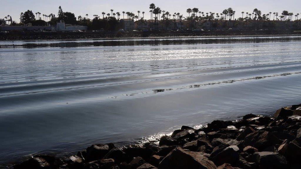 A body of water with rocks and palm trees

Description automatically generated