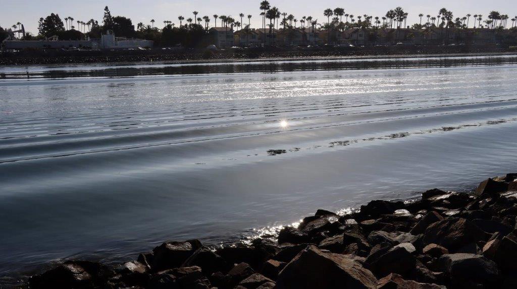 A body of water with rocks and palm trees

Description automatically generated