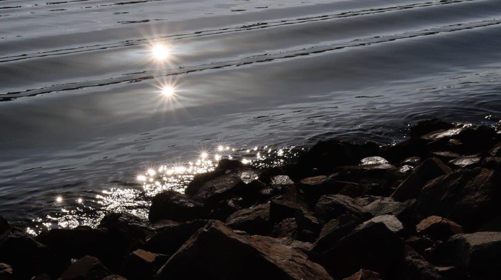 A rocky beach with sun shining on the water

Description automatically generated with medium confidence