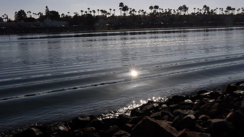 A body of water with palm trees in the background

Description automatically generated