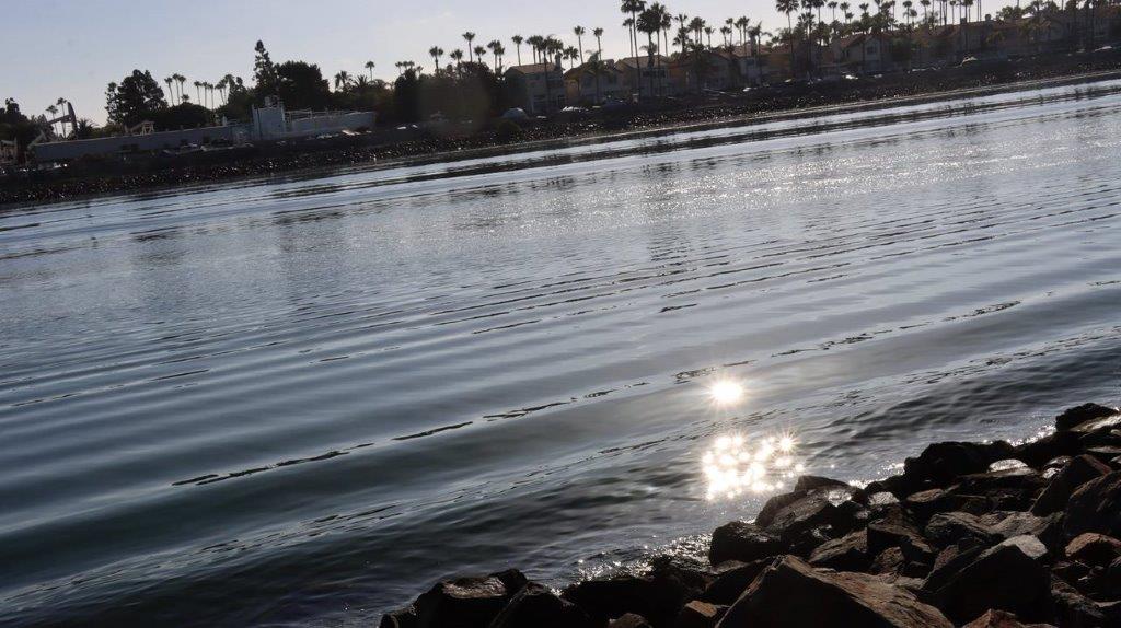 A body of water with rocks and palm trees

Description automatically generated