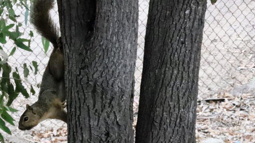 Close-up of a tree trunk

Description automatically generated