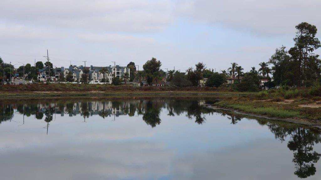 A body of water with trees and buildings in the background

Description automatically generated