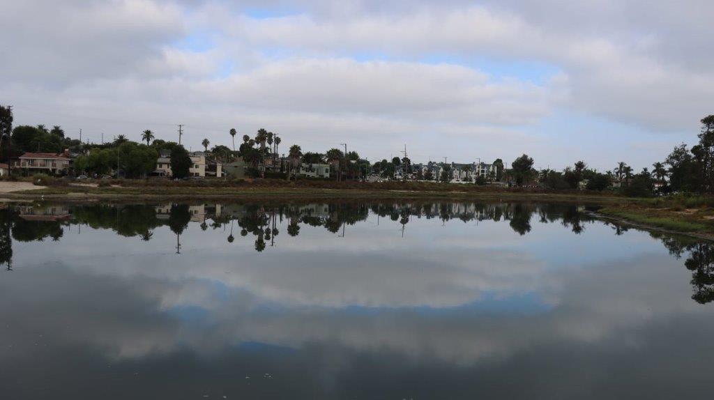 A body of water with trees and clouds in the background

Description automatically generated