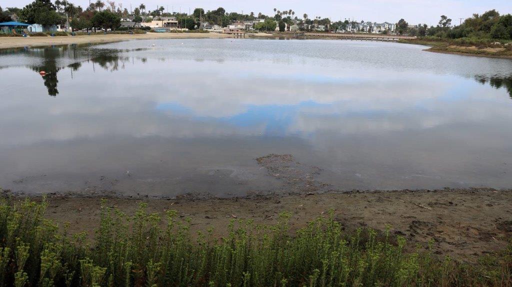 A body of water with grass and buildings in the background

Description automatically generated