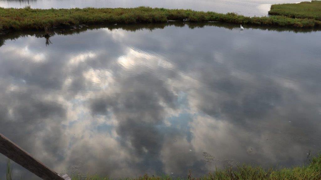 A body of water with clouds reflected in it

Description automatically generated