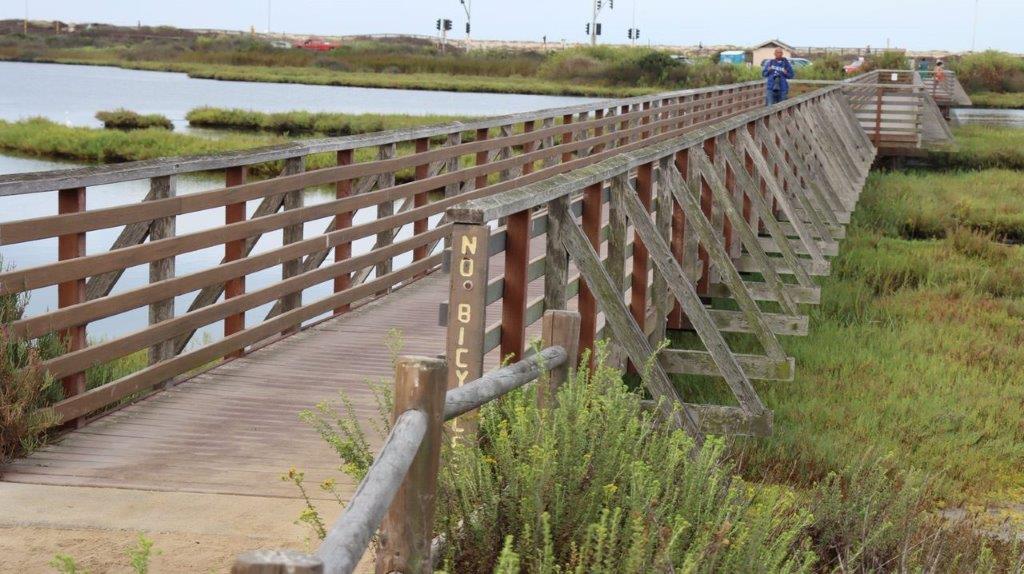 A wooden bridge over water

Description automatically generated