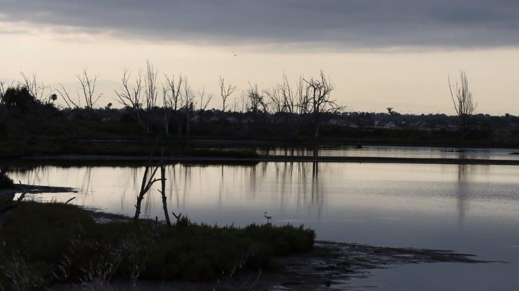 A lake with trees in the background

Description automatically generated