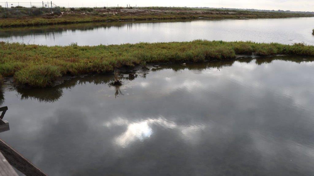 A body of water with grass and clouds reflected in it

Description automatically generated