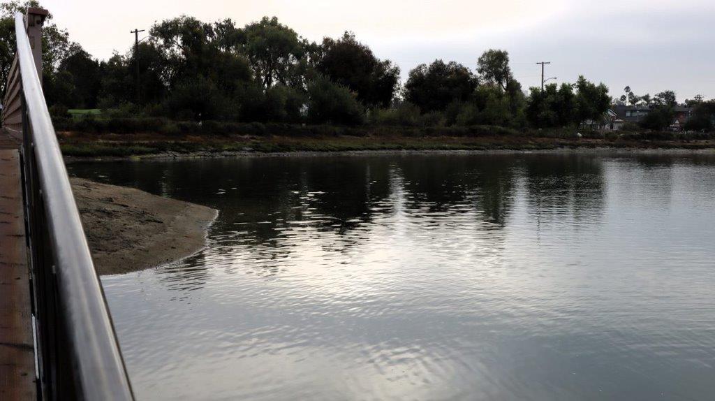 A body of water with trees in the background

Description automatically generated