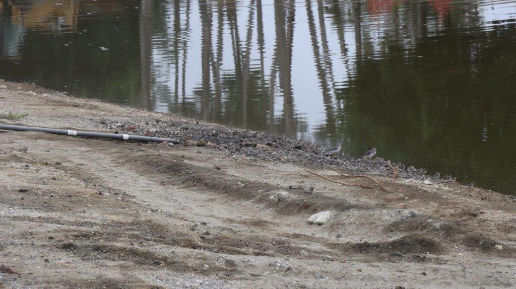 A dirt road next to a body of water

Description automatically generated