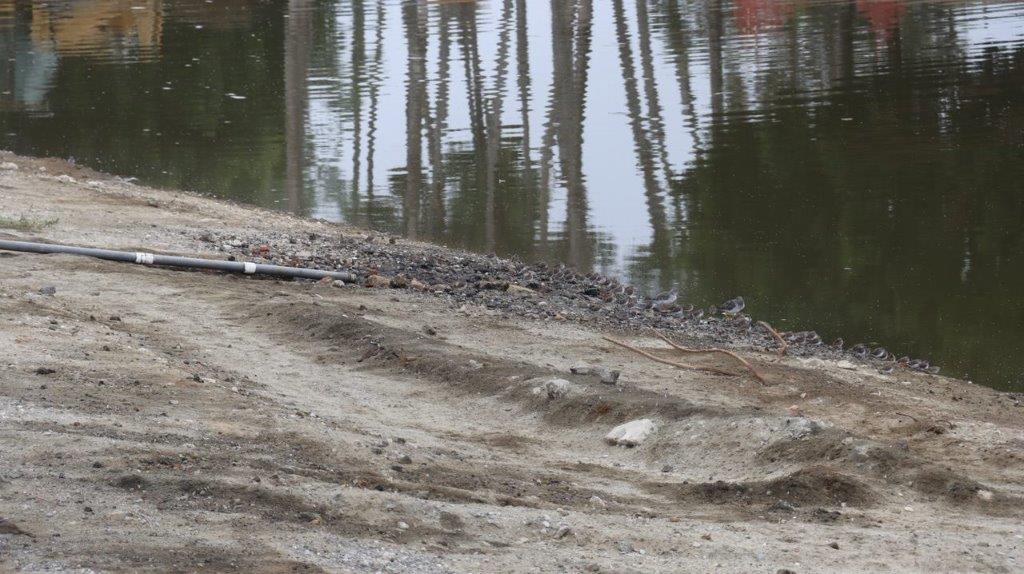 A dirt road next to a body of water

Description automatically generated