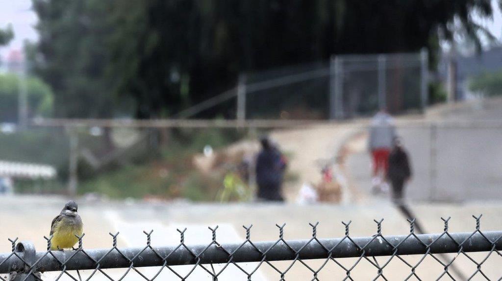 A fence with people in the background

Description automatically generated