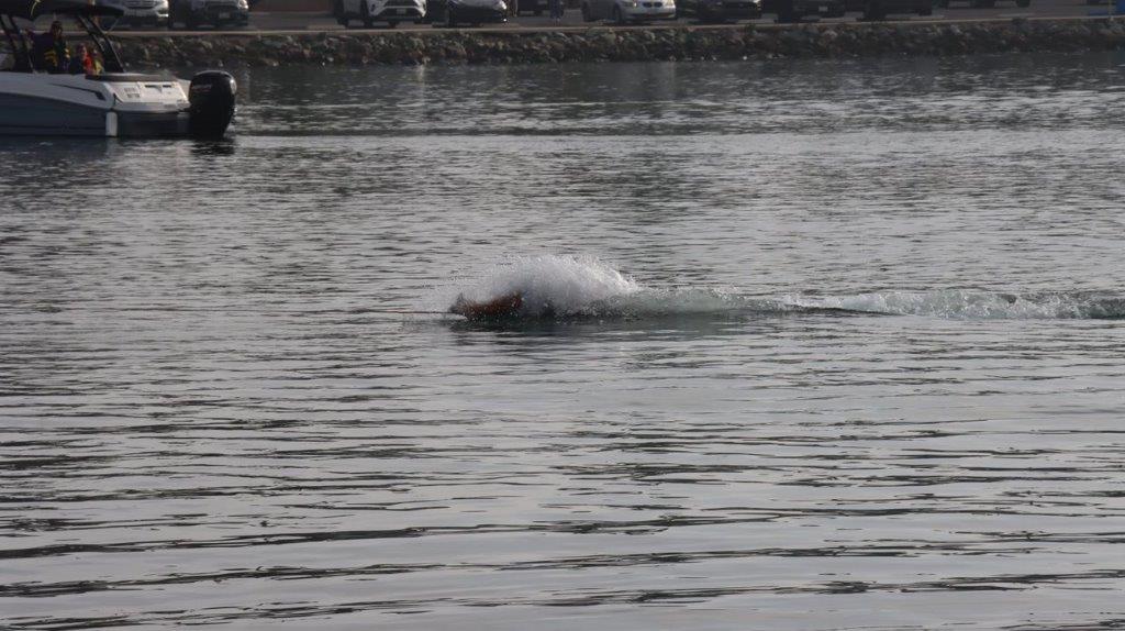 A person swimming in a body of water

Description automatically generated