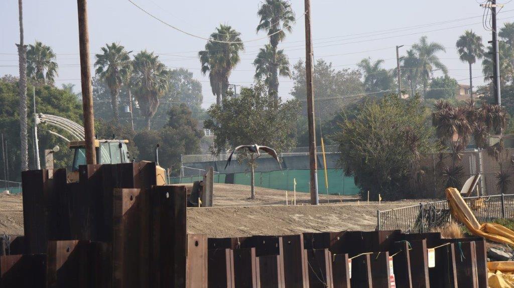 A bird flying over a fence

Description automatically generated