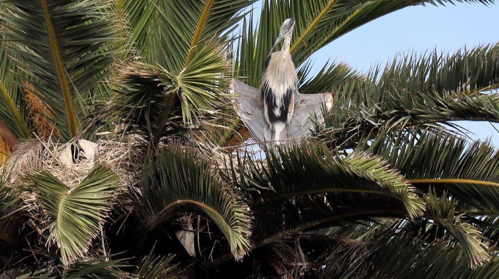 A bird standing on a tree

Description automatically generated